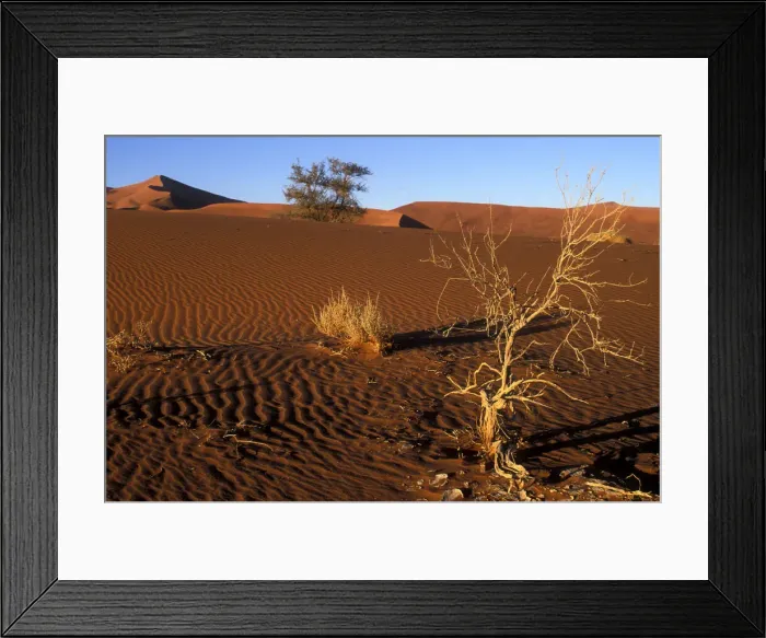 Framed Print : DDE-90021481 Framed Print : DDE-90021481