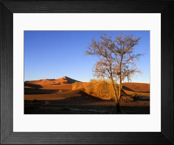 Framed Print : DDE-90021483 Framed Print : DDE-90021483