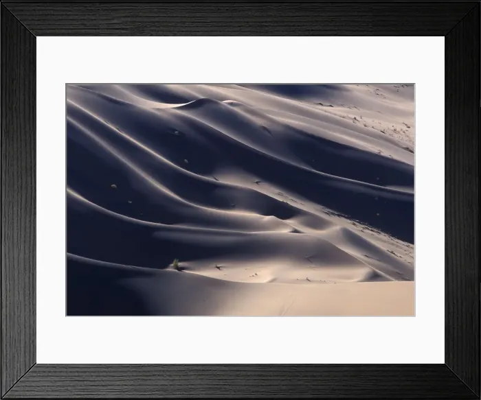 Framed Print : DDE-90021490