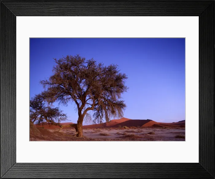 Framed Print : DDE-90021489 Framed Print : DDE-90021489