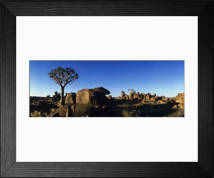 Framed Print : DDE-90021494 Framed Print : DDE-90021494