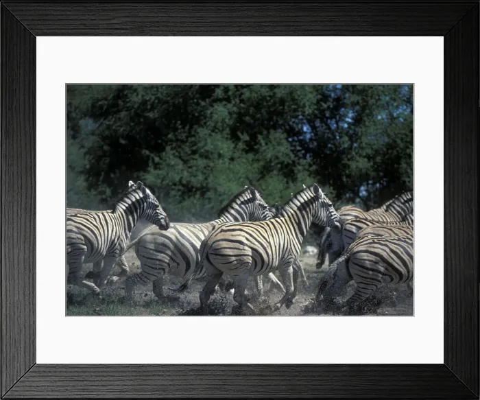 Framed Print : DDE-90021496 Framed Print : DDE-90021496