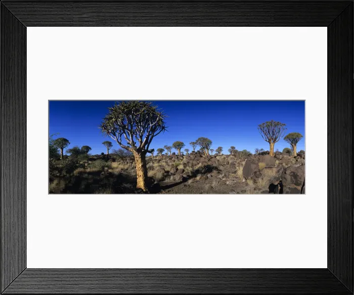 Framed Print : DDE-90021500 Framed Print : DDE-90021500