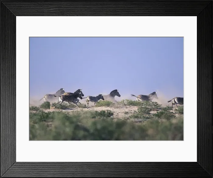 Framed Print : DDE-90021512 Framed Print : DDE-90021512