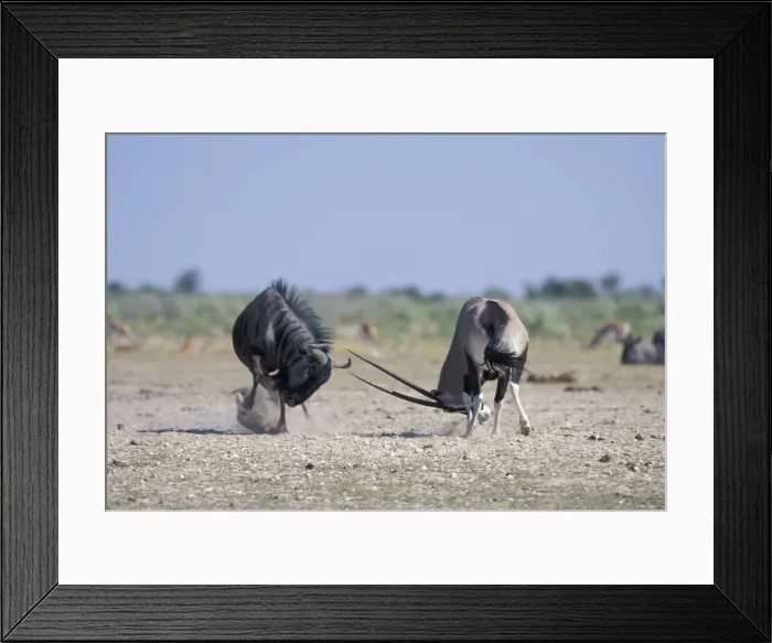 Framed Print : DDE-90021516