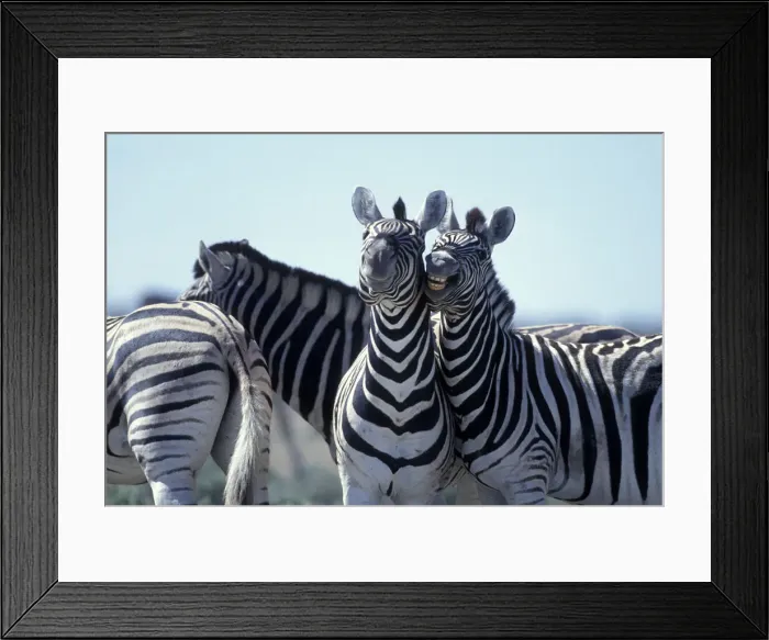 Framed Print : DDE-90021526 Framed Print : DDE-90021526