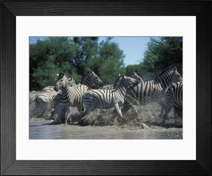 Framed Print : DDE-90021527 Framed Print : DDE-90021527