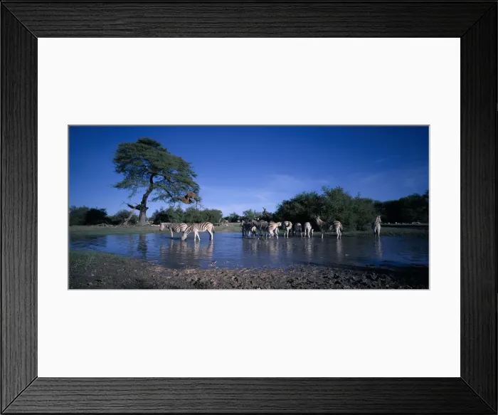 Framed Print : DDE-90021529 Framed Print : DDE-90021529