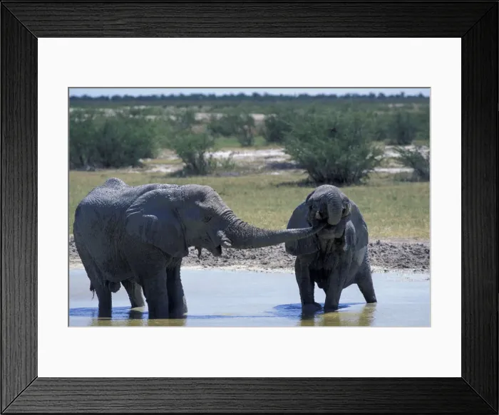 Framed Print : DDE-90021537 Framed Print : DDE-90021537