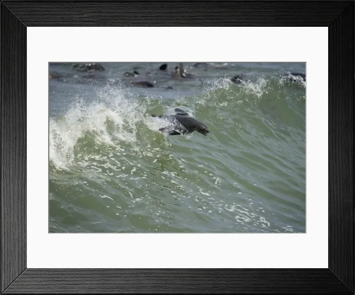 Framed Print : DDE-90021538 Framed Print : DDE-90021538