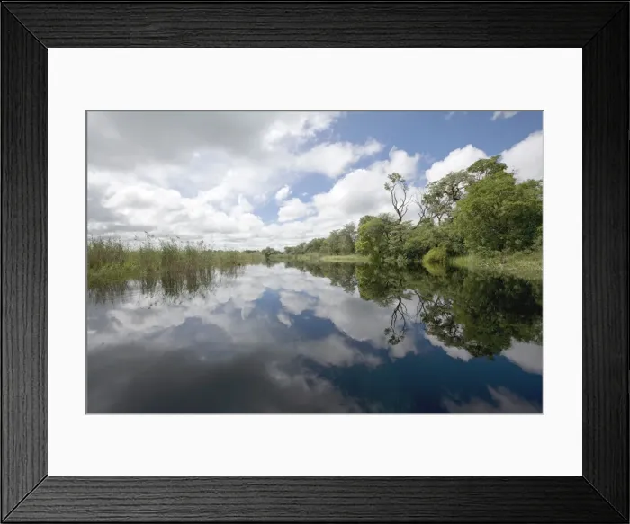 Framed Print : DDE-90021545 Framed Print : DDE-90021545