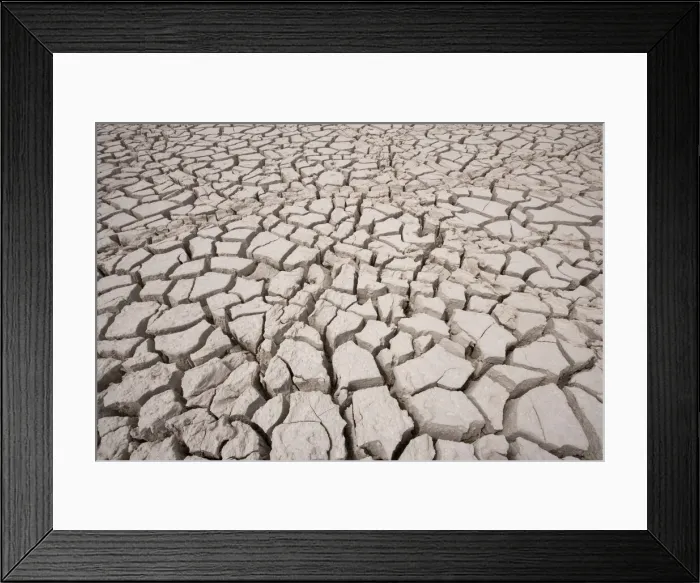Framed Print : DDE-90021552 Framed Print : DDE-90021552