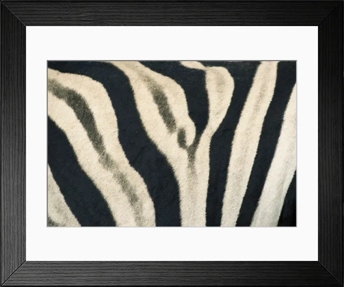 Framed Print : DDE-90021553