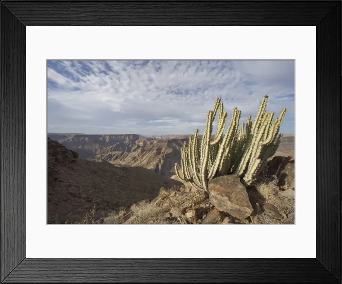 Framed Print : DDE-90021555 Framed Print : DDE-90021555