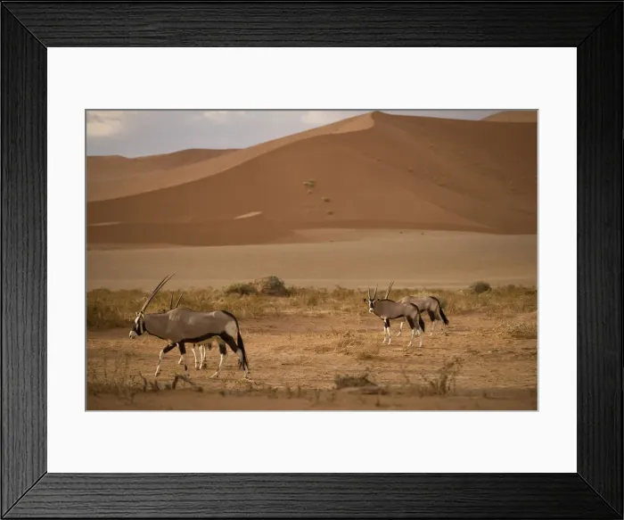 Framed Print : DDE-90021596 Framed Print : DDE-90021596
