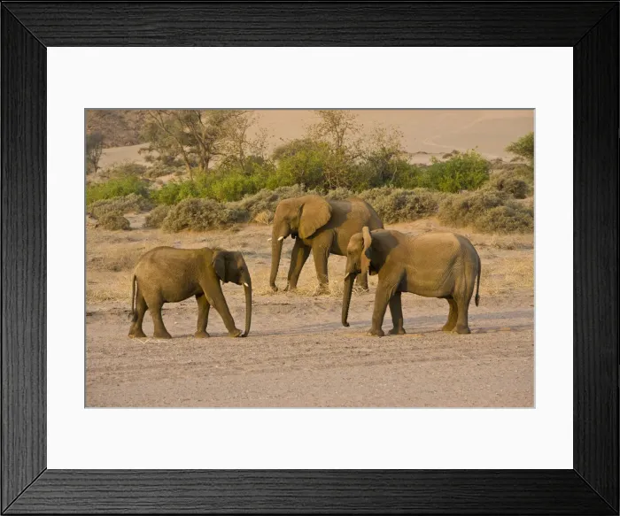 Framed Print : DDE-90021614 Framed Print : DDE-90021614