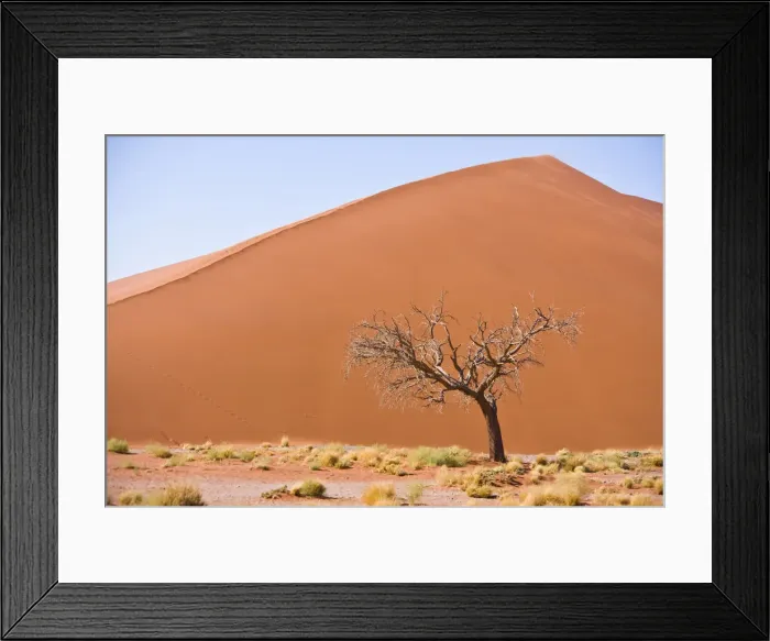 Framed Print : DDE-90021617 Framed Print : DDE-90021617