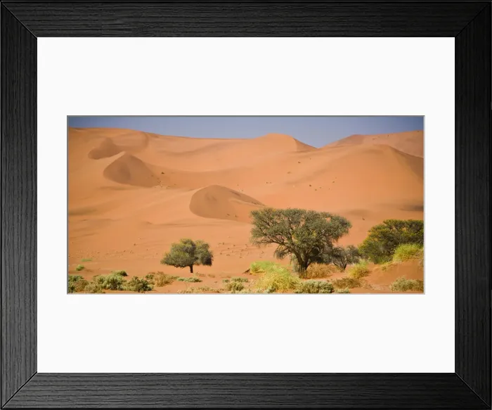 Framed Print : DDE-90021618 Framed Print : DDE-90021618