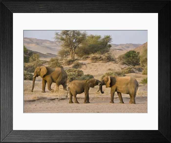 Framed Print : DDE-90021615 Framed Print : DDE-90021615