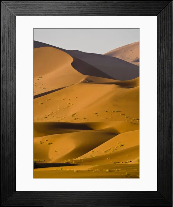 Framed Print : DDE-90021620 Framed Print : DDE-90021620