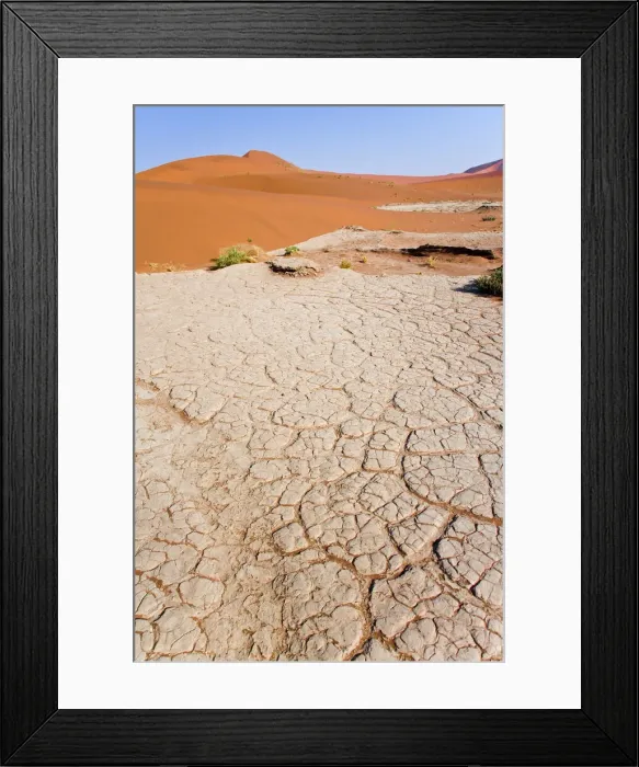 Framed Print : DDE-90021619 Framed Print : DDE-90021619