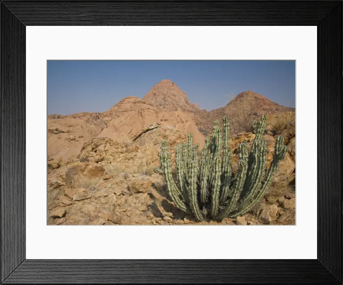 Framed Print : DDE-90021622