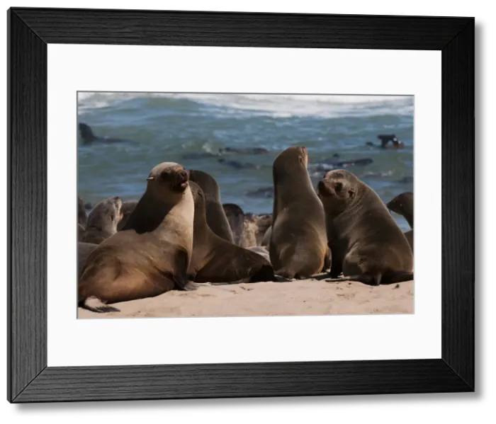 Framed Print : DDE-90021626