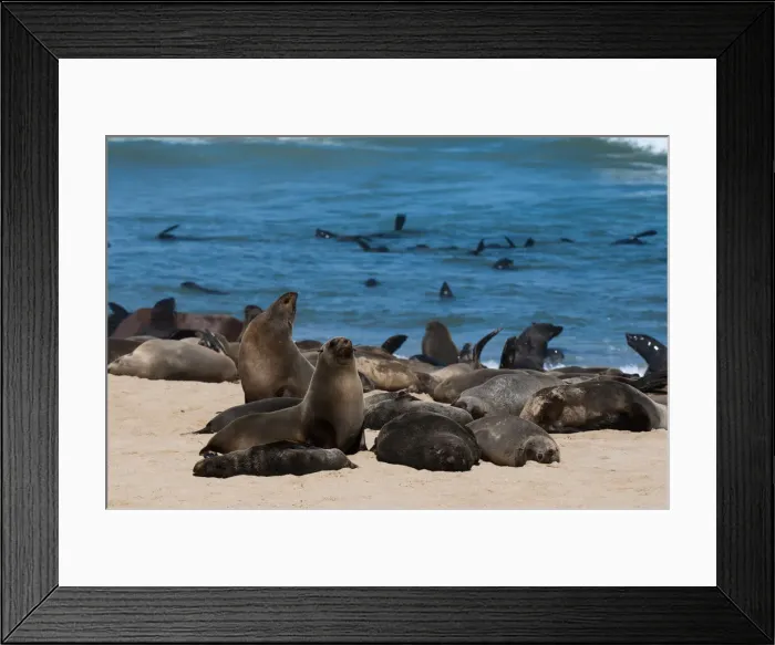 Framed Print : DDE-90021627 Framed Print : DDE-90021627