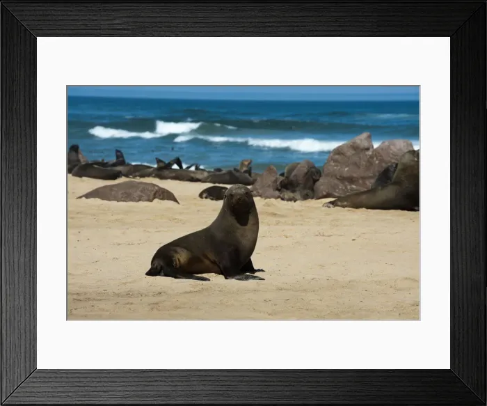 Framed Print : DDE-90021628 Framed Print : DDE-90021628