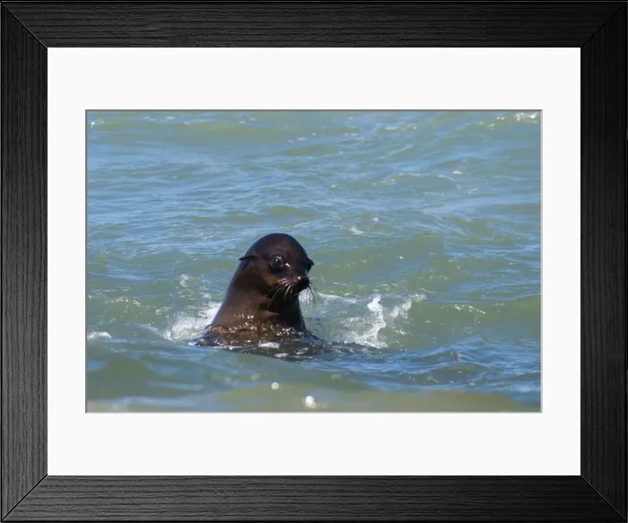 Framed Print : DDE-90021629 Framed Print : DDE-90021629