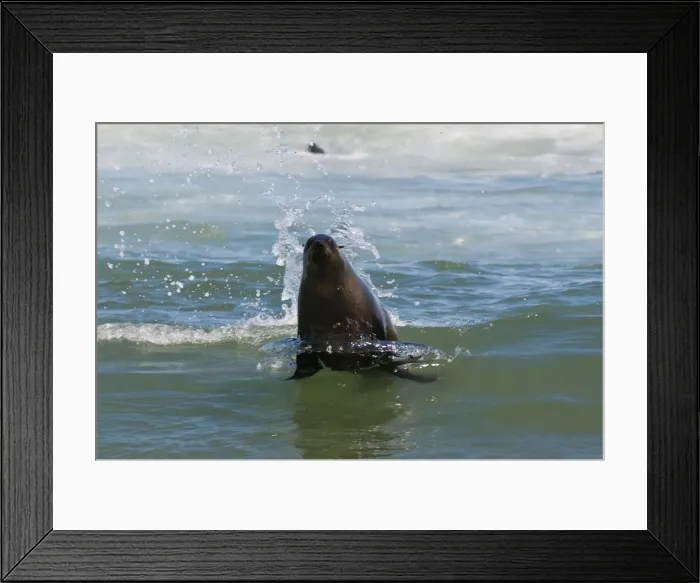 Framed Print : DDE-90021631 Framed Print : DDE-90021631