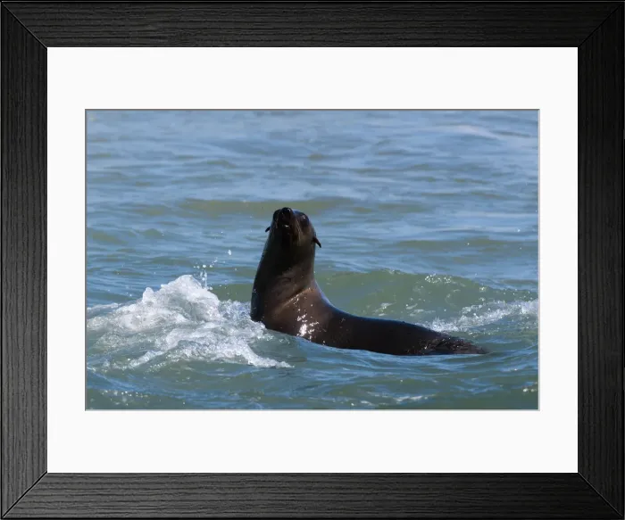 Framed Print : DDE-90021630 Framed Print : DDE-90021630