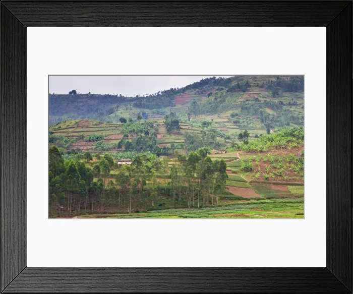 Framed Print : DDE-90021666 Framed Print : DDE-90021666