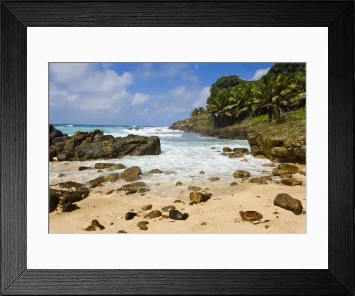 Framed Print : DDE-90021674 Framed Print : DDE-90021674