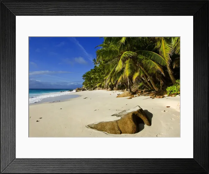 Framed Print : DDE-90021682 Framed Print : DDE-90021682
