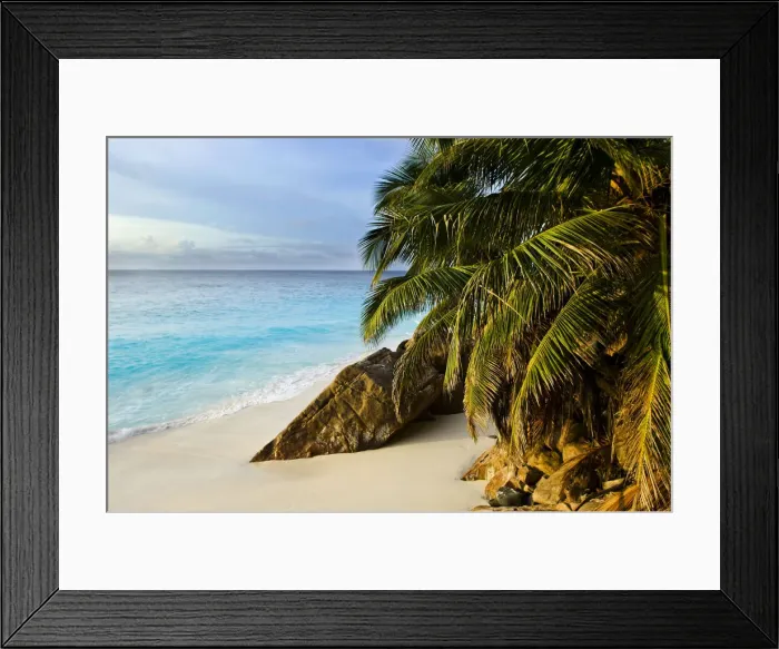 Framed Print : DDE-90021681 Framed Print : DDE-90021681
