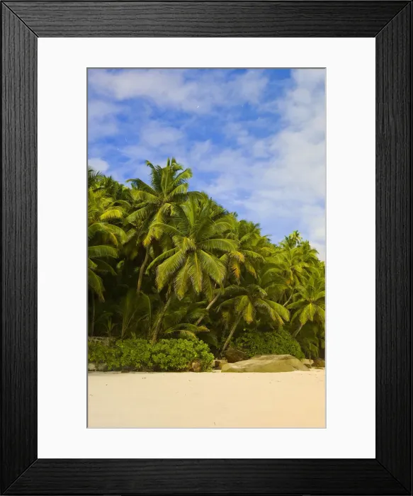 Framed Print : DDE-90021688