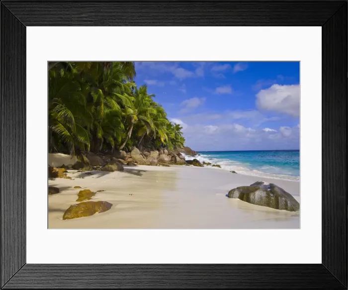 Framed Print : DDE-90021690 Framed Print : DDE-90021690