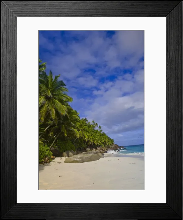 Framed Print : DDE-90021693