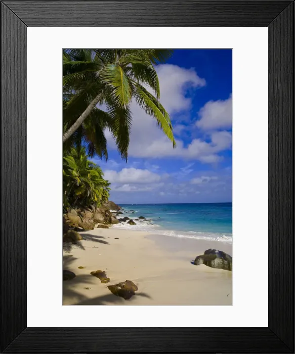 Framed Print : DDE-90021694 Framed Print : DDE-90021694