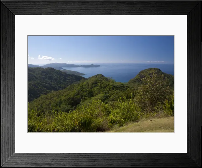 Framed Print : DDE-90021698 Framed Print : DDE-90021698