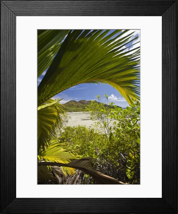 Framed Print : DDE-90021702 Framed Print : DDE-90021702