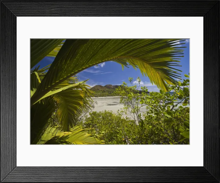 Framed Print : DDE-90021703 Framed Print : DDE-90021703