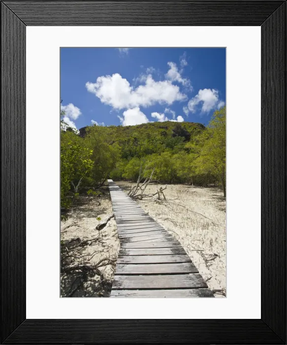 Framed Print : DDE-90021705 Framed Print : DDE-90021705