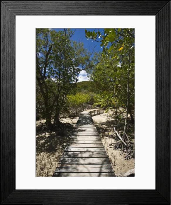 Framed Print : DDE-90021704 Framed Print : DDE-90021704