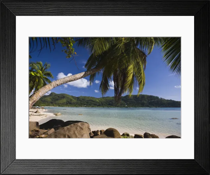 Framed Print : DDE-90021714 Framed Print : DDE-90021714