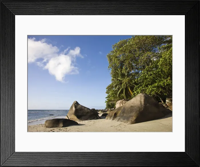 Framed Print : DDE-90021718 Framed Print : DDE-90021718