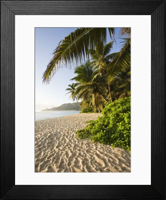 Framed Print : DDE-90021715 Framed Print : DDE-90021715