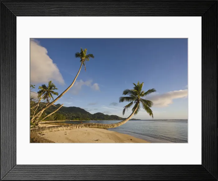 Framed Print : DDE-90021721 Framed Print : DDE-90021721