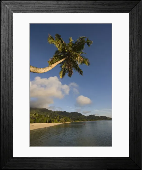 Framed Print : DDE-90021720 Framed Print : DDE-90021720